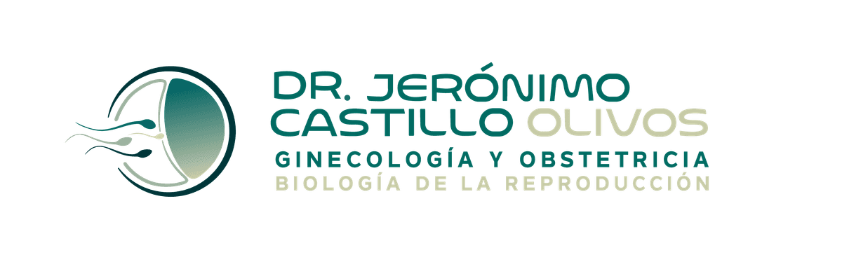 Logo Jeronimo Castillo Olivos